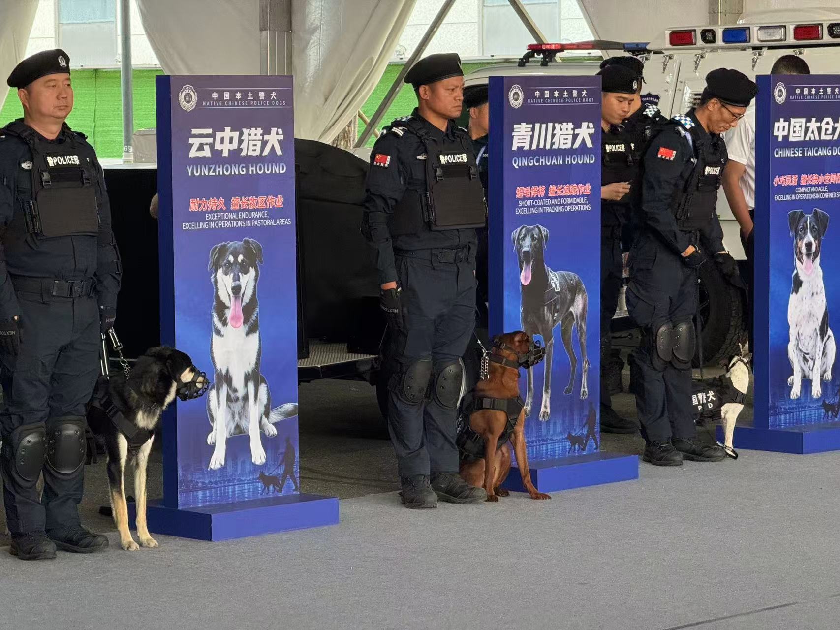 Police dogs are presented at the Public Security Technology and Equipment Expo in Lianyungang, Jiangsu Province, China, September 8, 2026. Peng Yuhan/CGTN