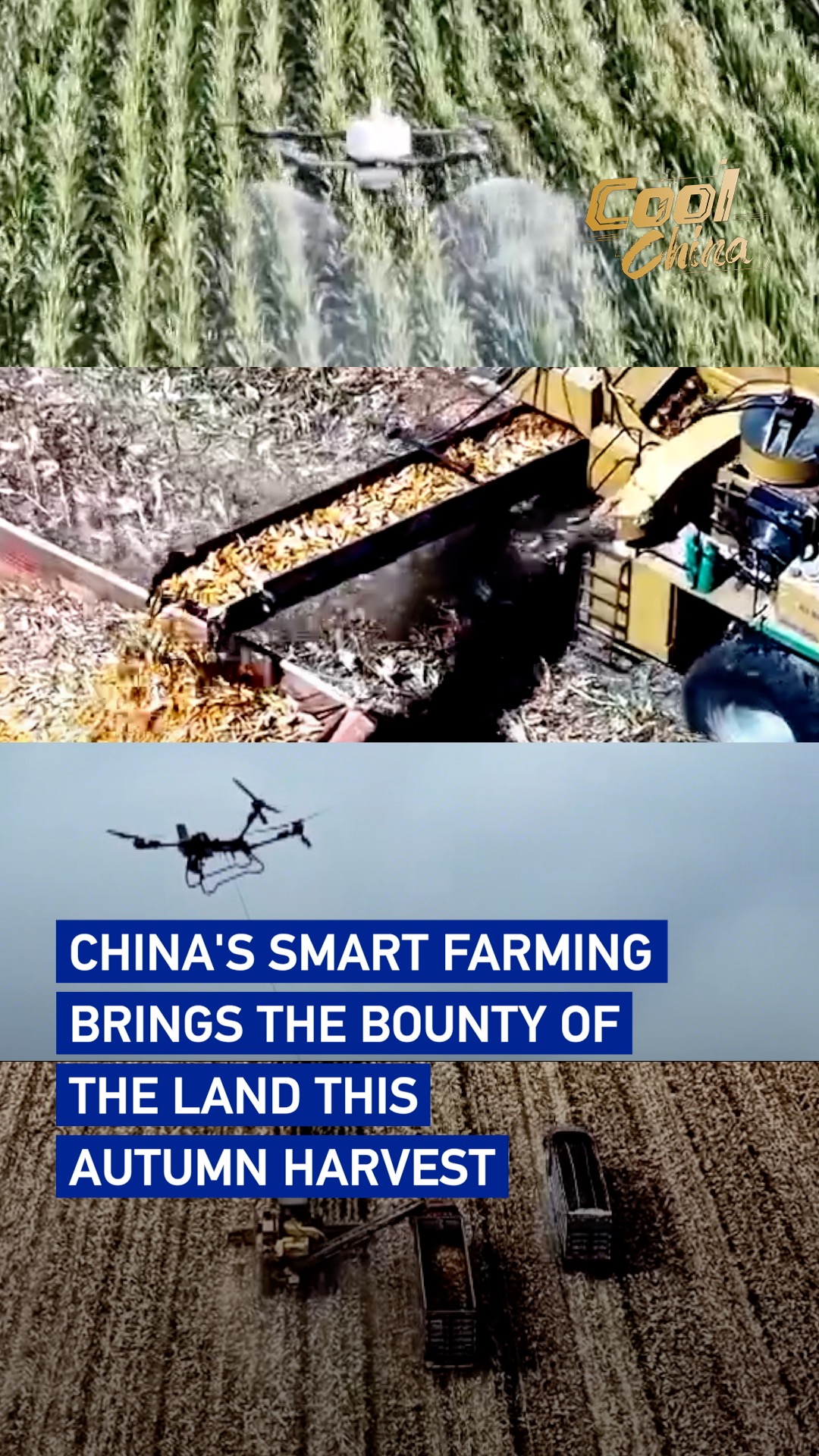 China's smart farming brings bounty of land this autumn harvest