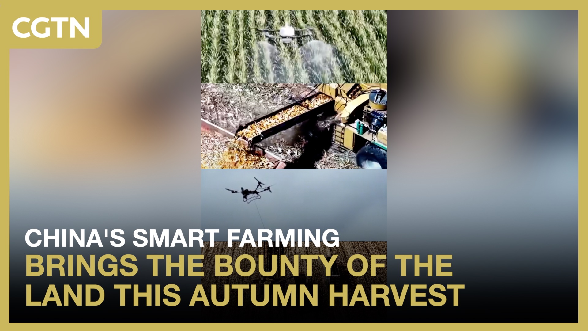 China's smart farming brings bounty of land this autumn harvest