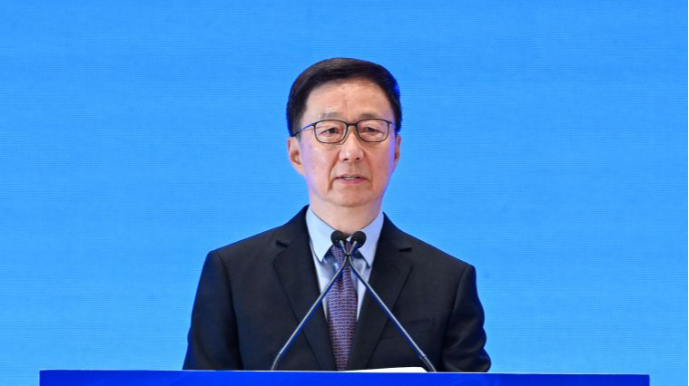 Chinese VP says more measures to facilitate intl. investment in China