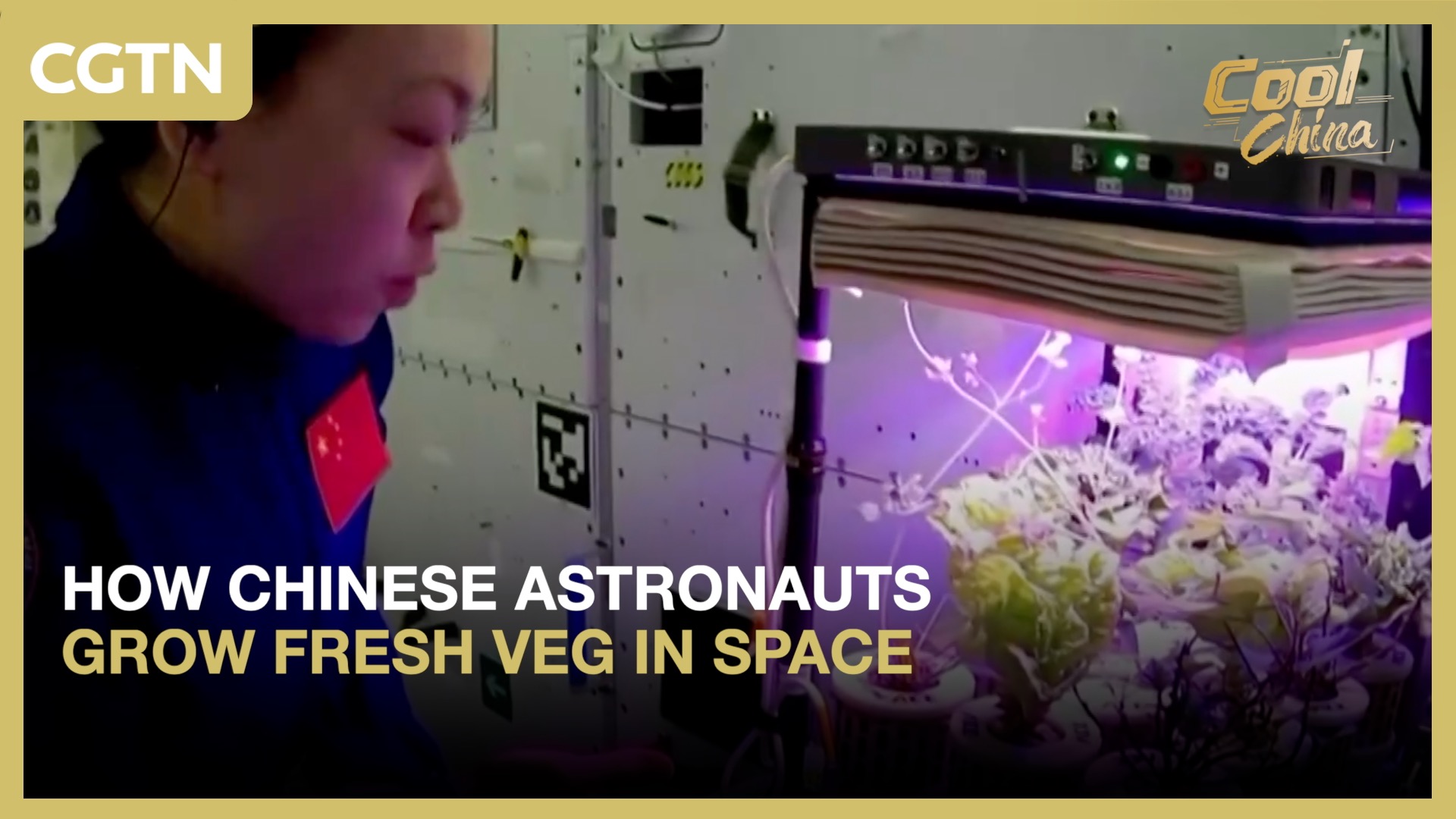How Chinese astronauts grow fresh veg in space