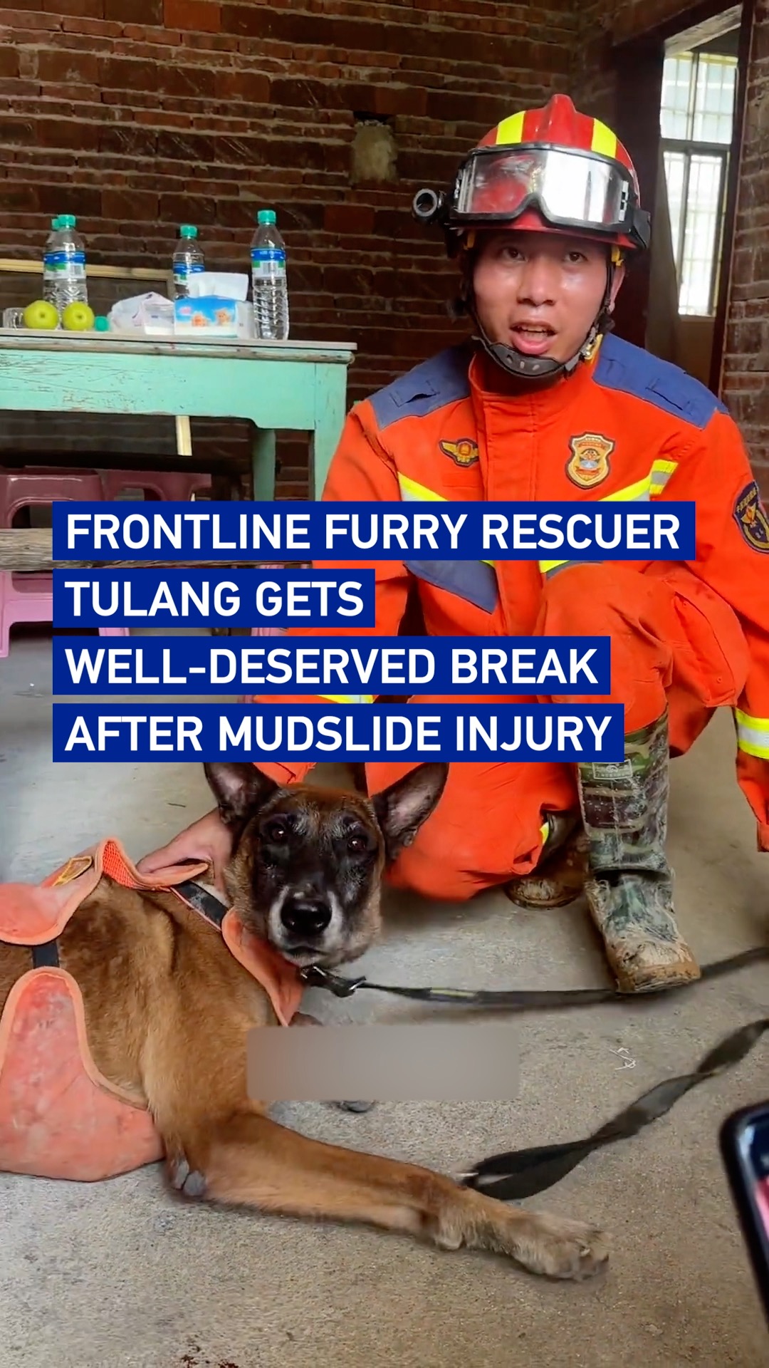 Frontline furry rescuer gets well-deserved break after mudslide injury