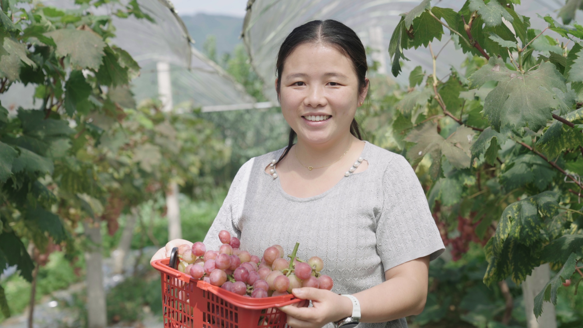 A tourist holds grapes picked from a vineyard in Zhuchiba Village, southwest China's Guizhou Province on September 1, 2026. /Tongren Media Convergence Center