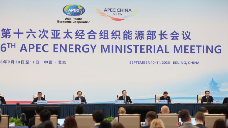 China willing to help advance global energy security: vice premier