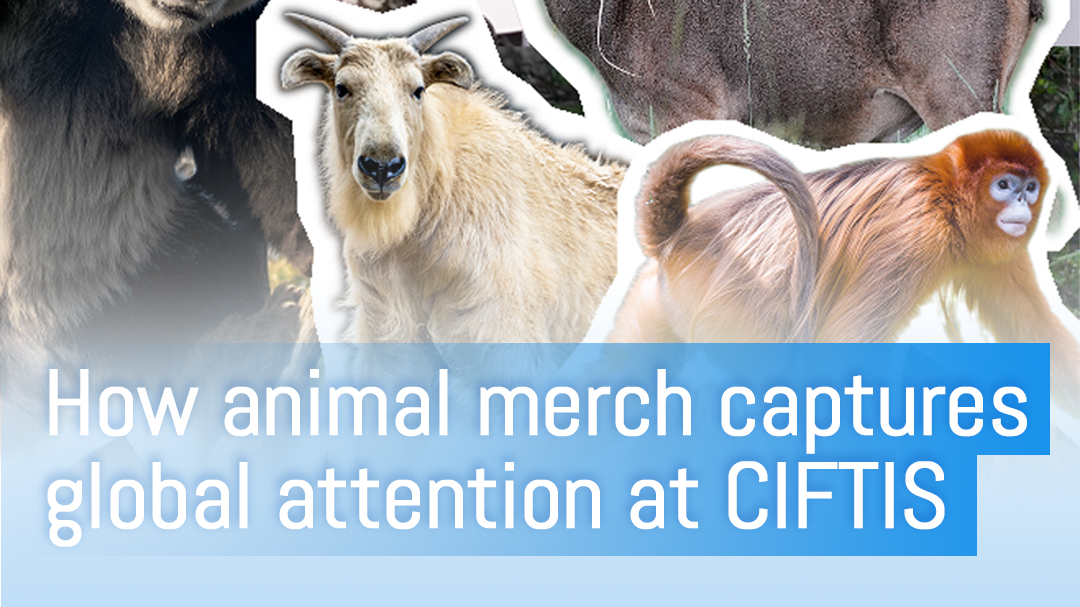 Stamp of approval: CIFTIS exhibitors take on Beijing Zoo's challenge