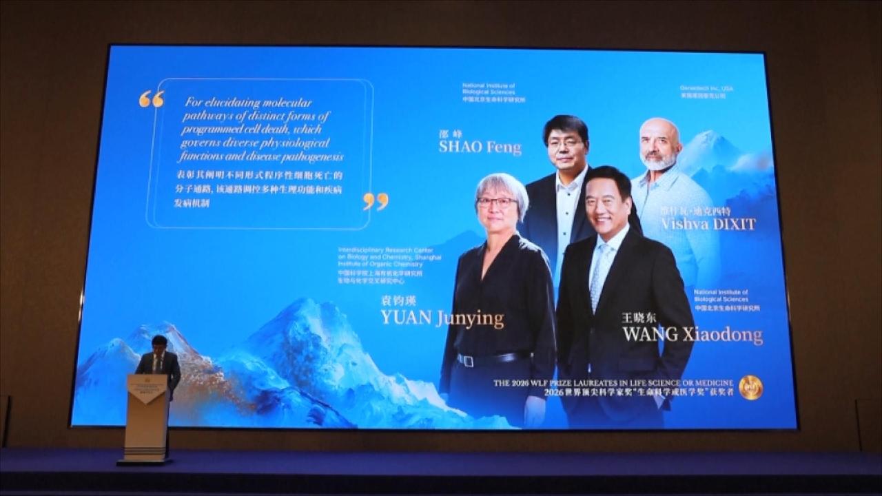 China unveils winners of prize for global scientists