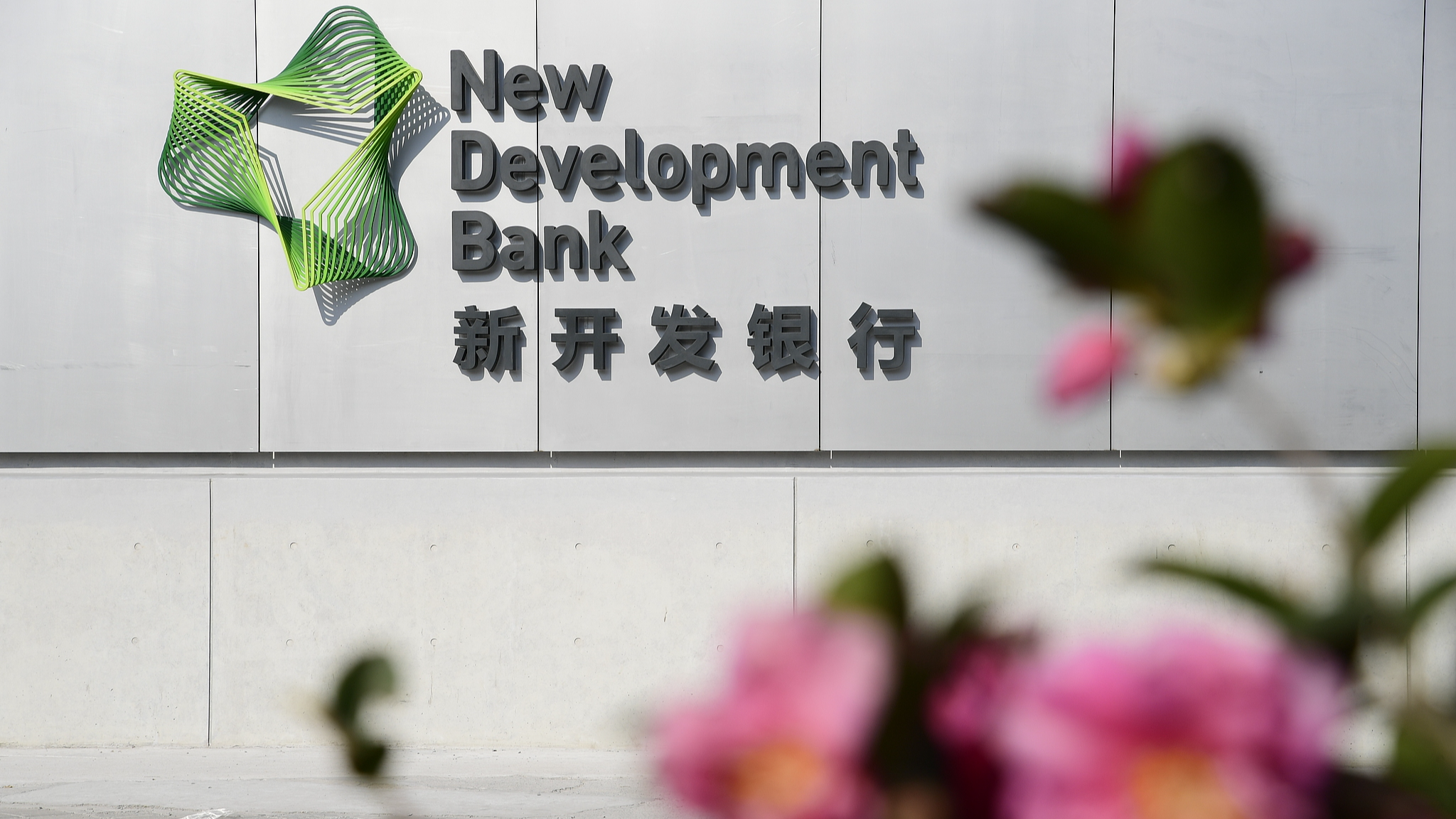 How BRICS pools development strength for high-quality cooperation