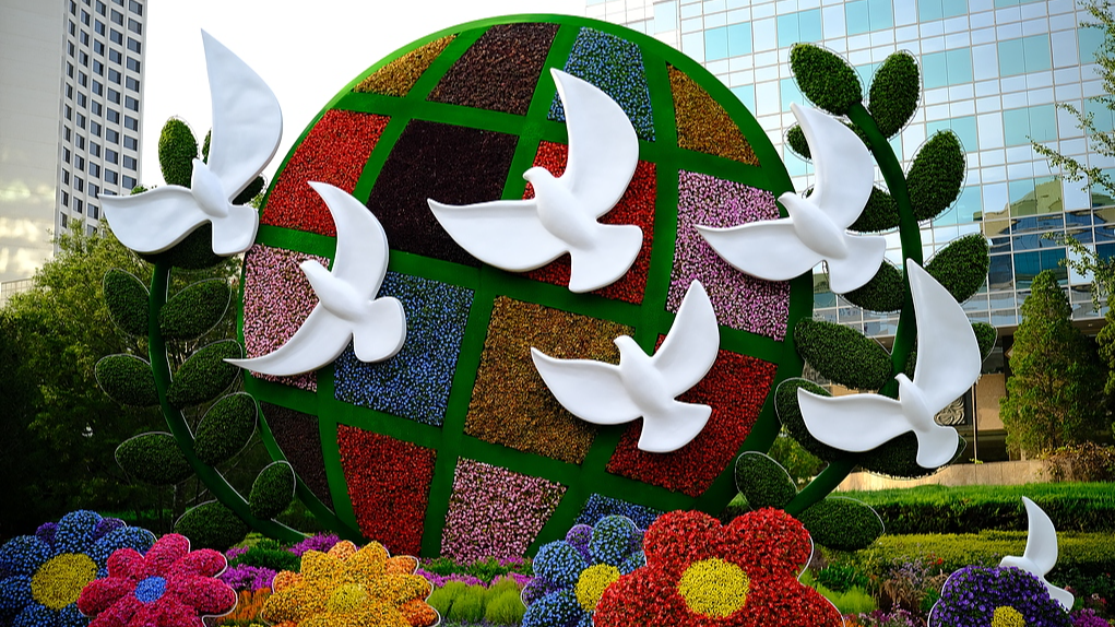 Xi says BRICS countries should firmly stand on right side of history