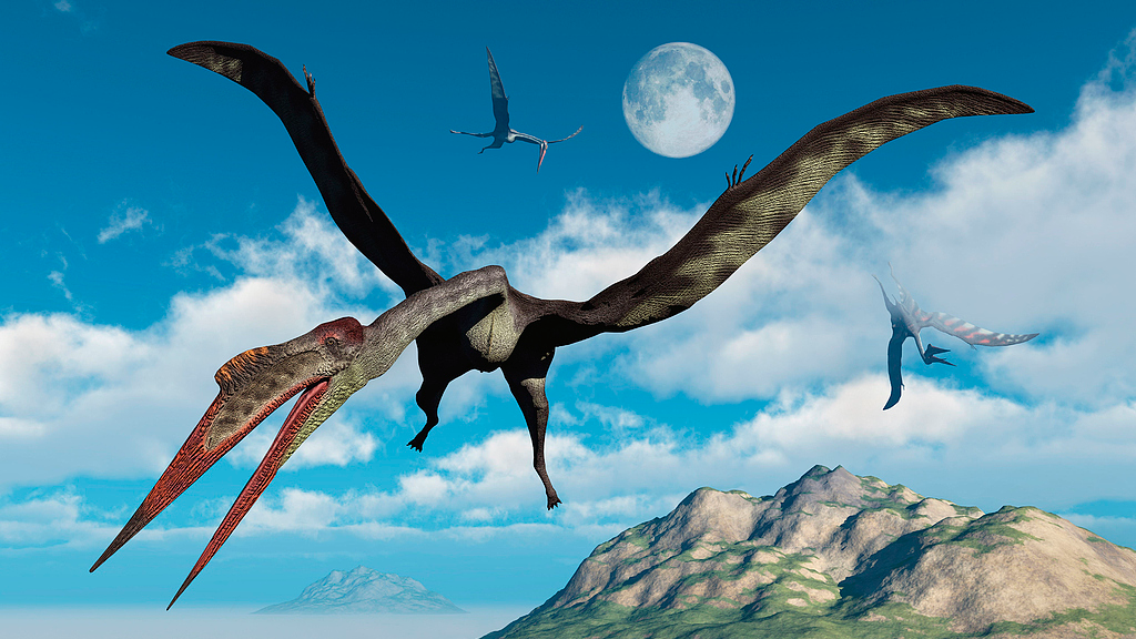 An illustration of pterosaurs. /VCG