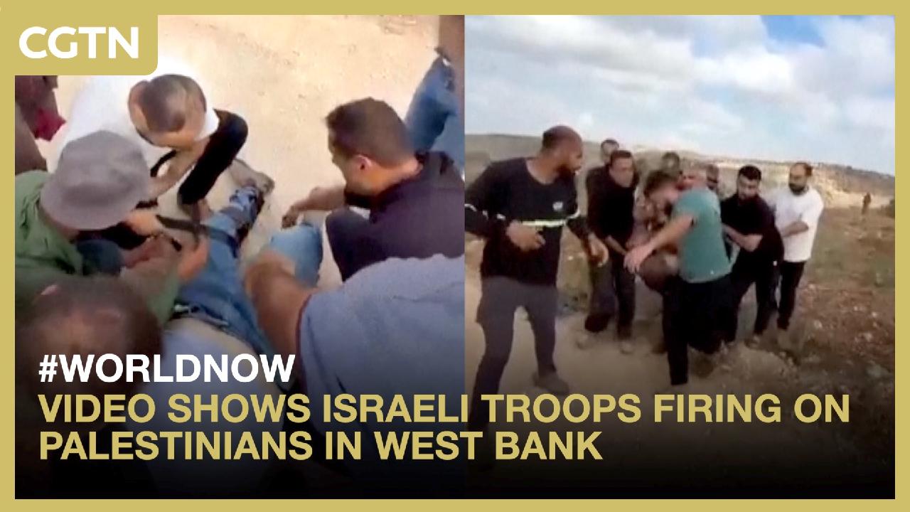 Video shows Israeli troops firing on Palestinians in West Bank
