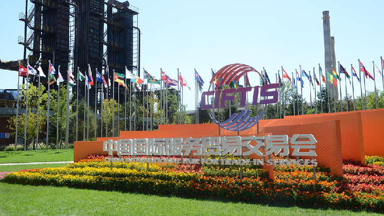 From products to services: China's services trade fair spotlights its industry upgrading