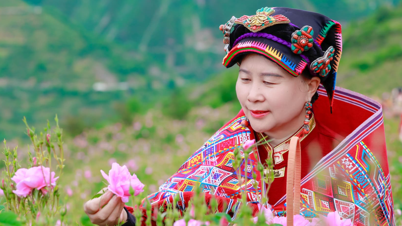 From the Long March to roses: A new journey in Jiajin Mountain