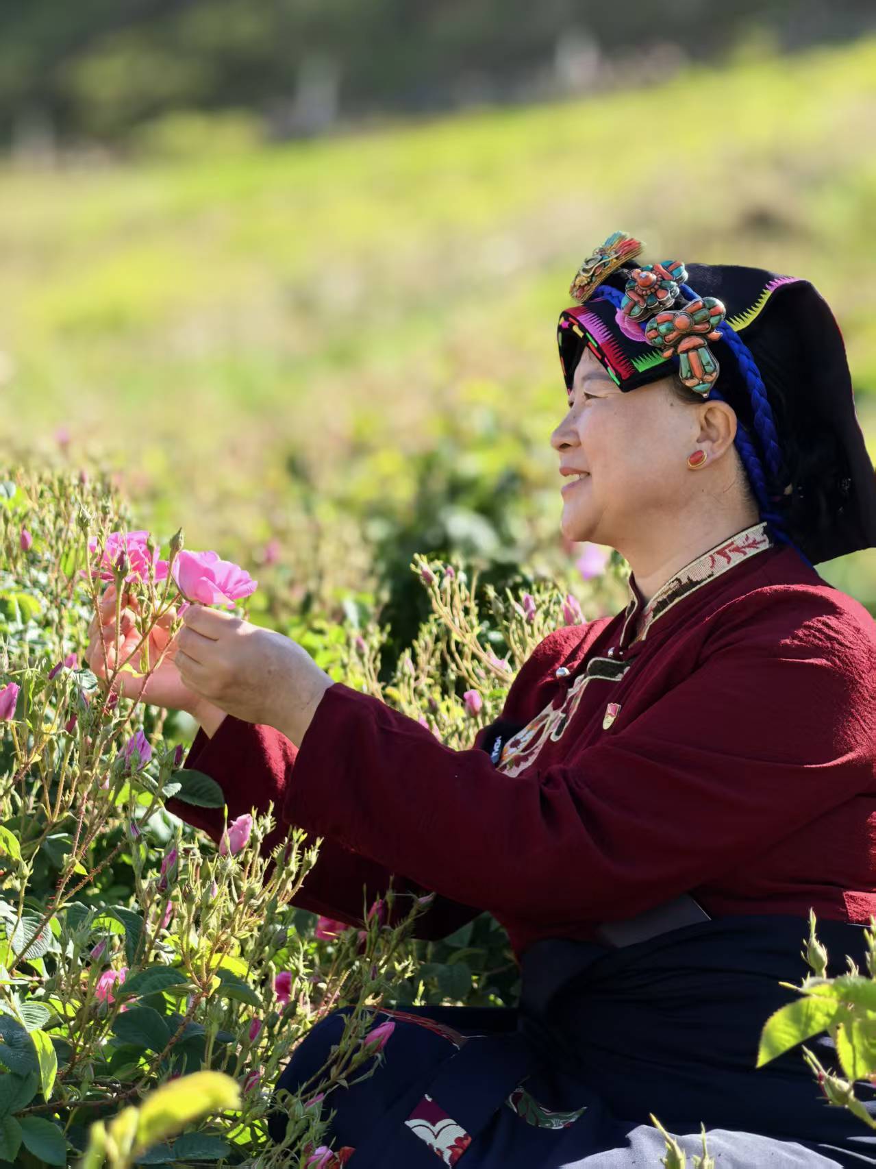 Chen Wanghui checks the growth of roses in a rose field in Xiaojin County, Sichuan Province, July 4, 2026./Courtesy of Chen Wanglun