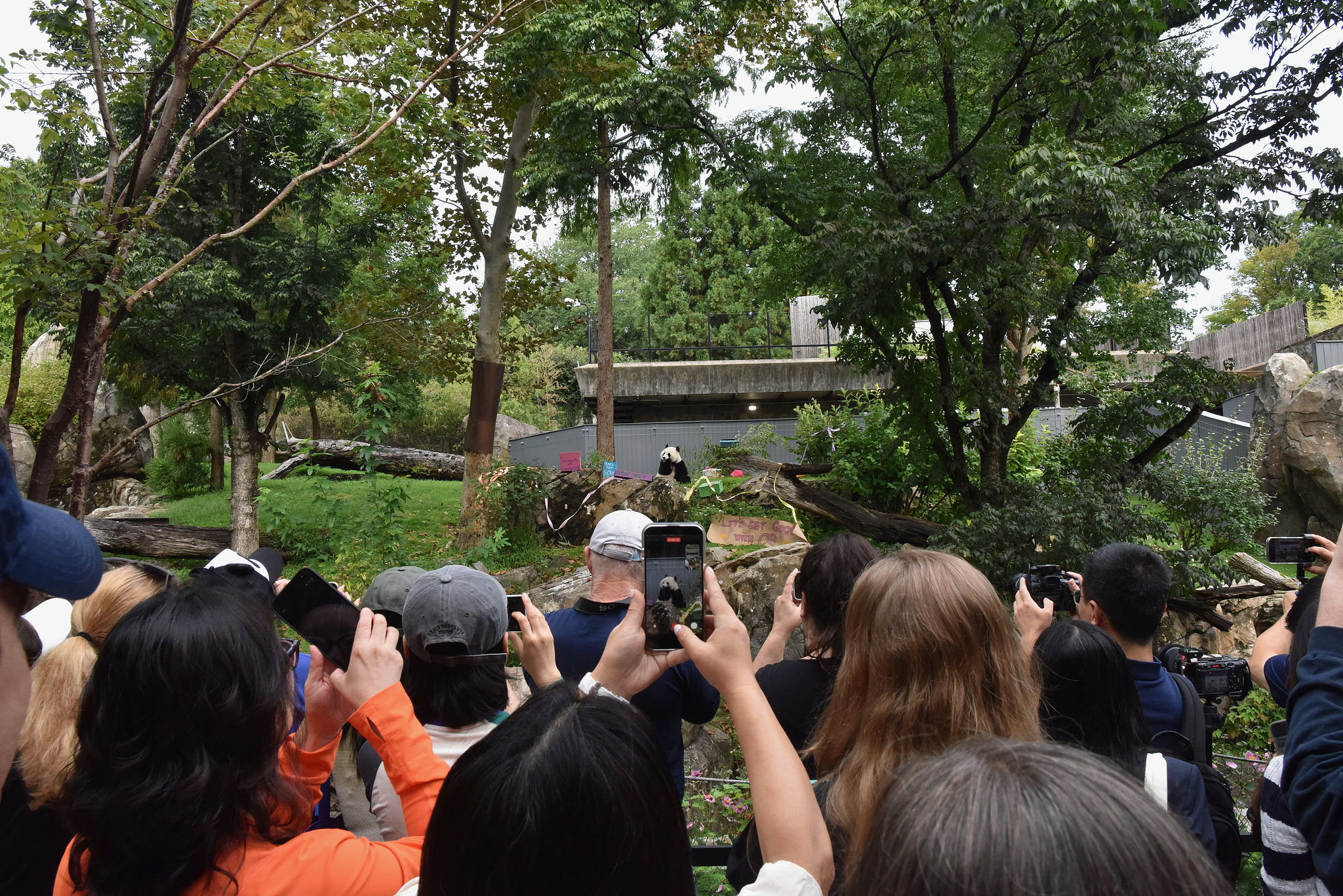 Visitors gather at Smithsonian's National Zoo, September 12, 2026. /VCG