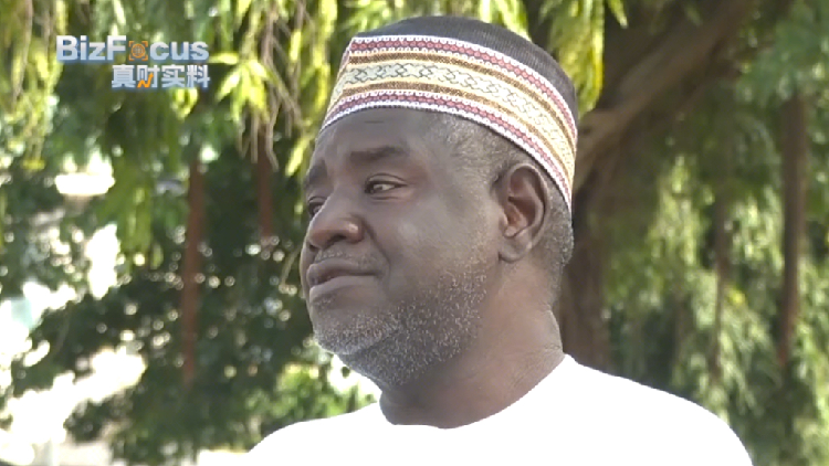 Nigerian scholar: Global South pins high hopes on BRICS's 'China Year'