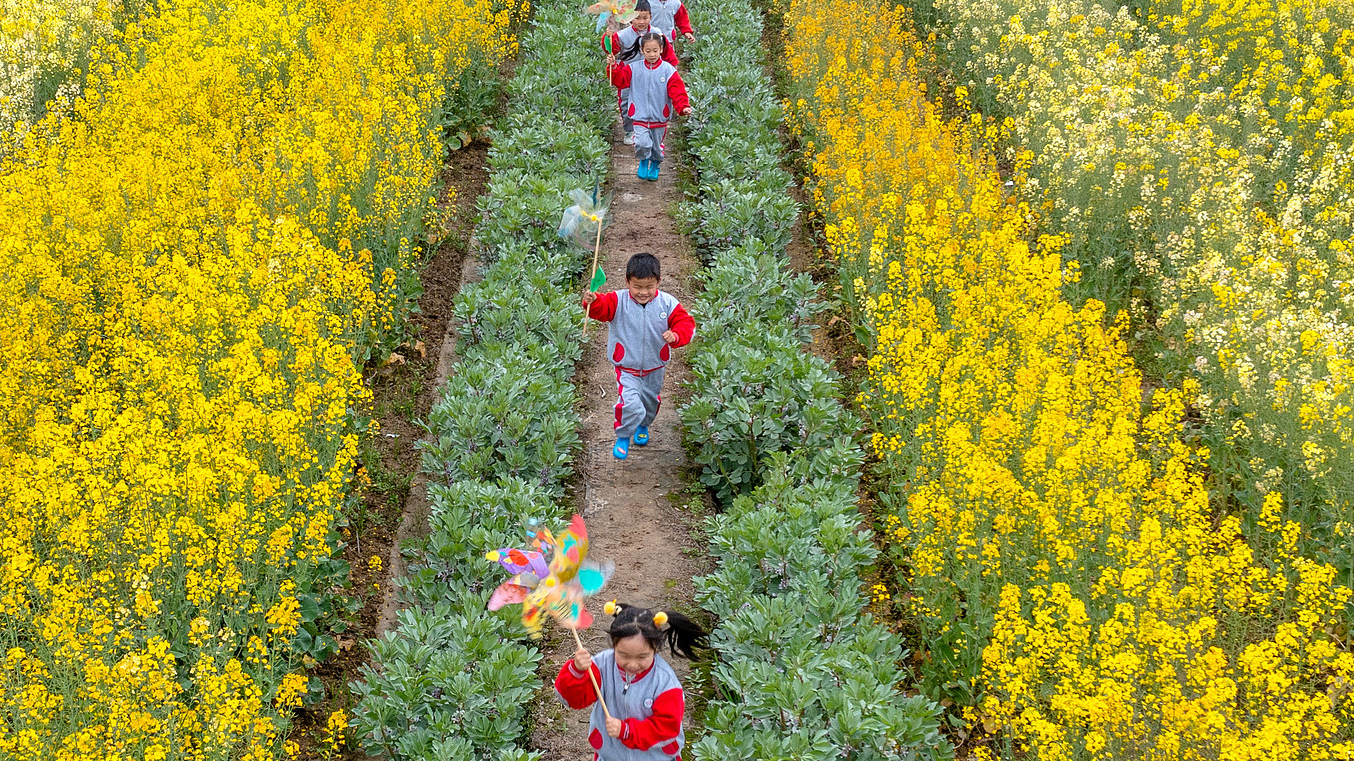 Kindergarten children run happily through a canola flower field in Huzhou city, Zhejiang Province, east China, April 18, 2023. /VCG