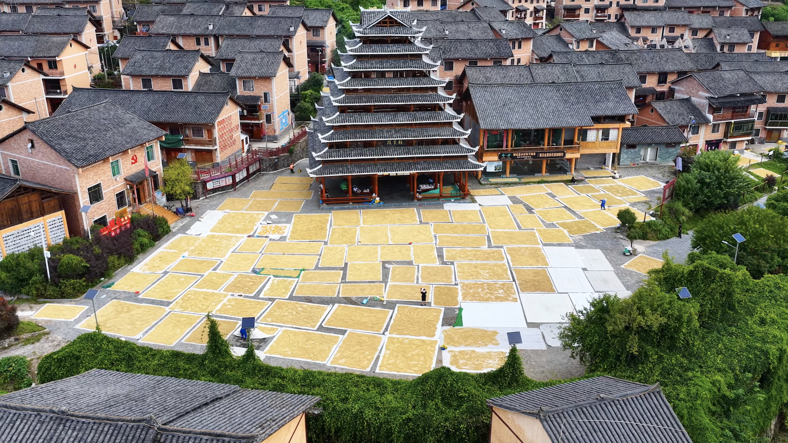 Golden rice grains paint colorful pictures of rural harvest in Guizhou