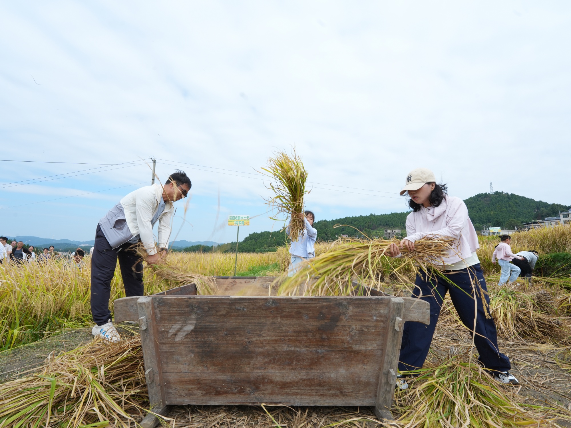 The 9th annual rice harvest opening ceremony of Guojiawan Village is held in Yuping Dong Autonomous County, southwest China's Guizhou Province on September 12, 2026. /Tongren Media Convergence Center