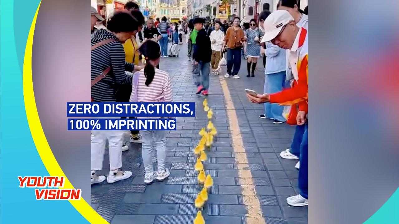 Zero distractions, 100% imprinting
