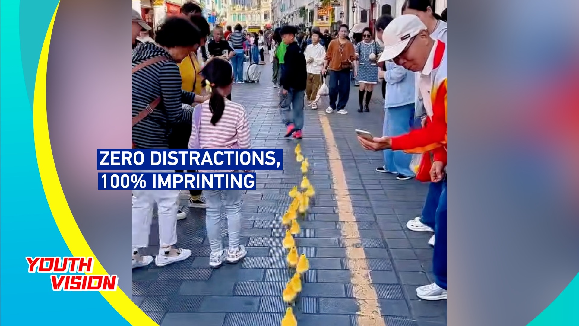 Zero distractions, 100% imprinting