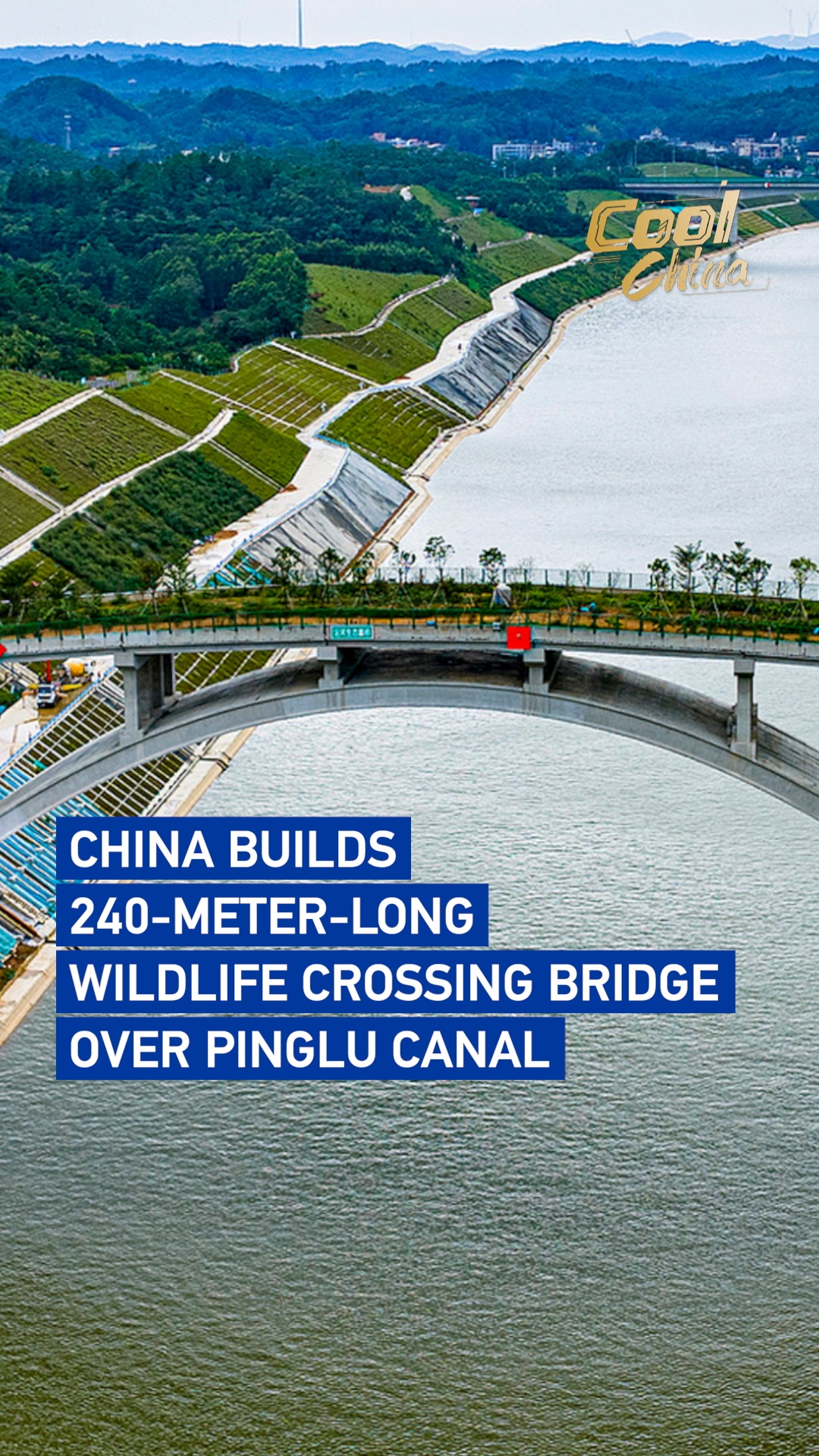 China builds 240-meter-long wildlife crossing bridge over Pinglu Canal