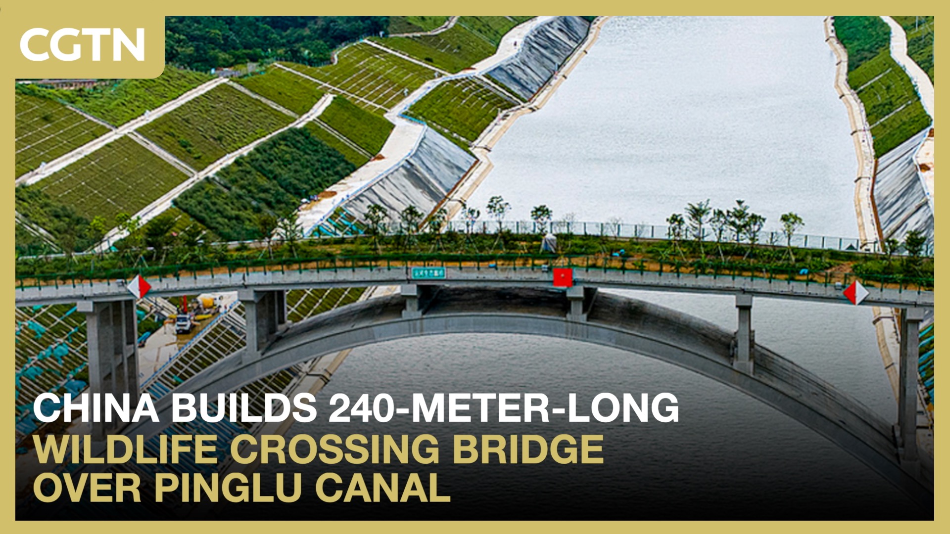 China builds 240-meter-long wildlife crossing bridge over Pinglu Canal