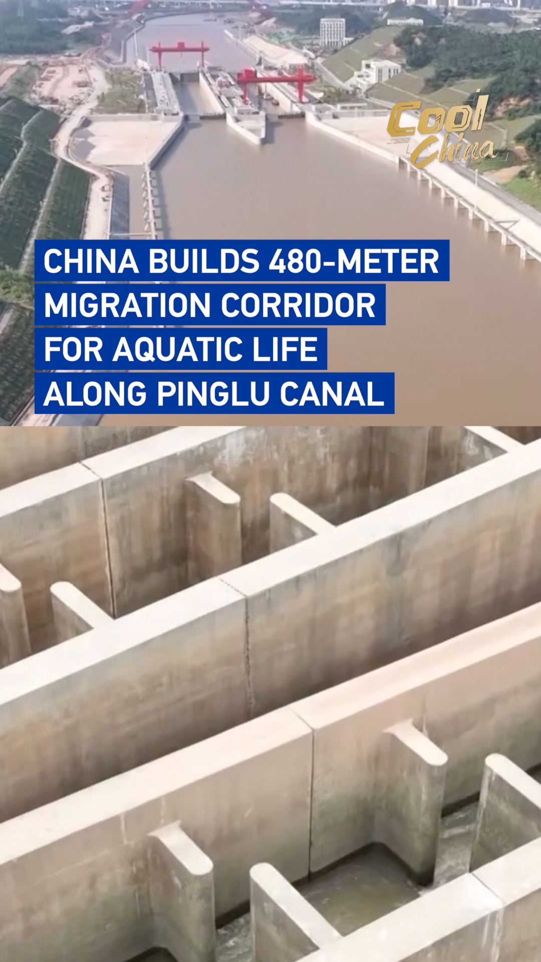 China builds migration corridor for aquatic life along Pinglu Canal