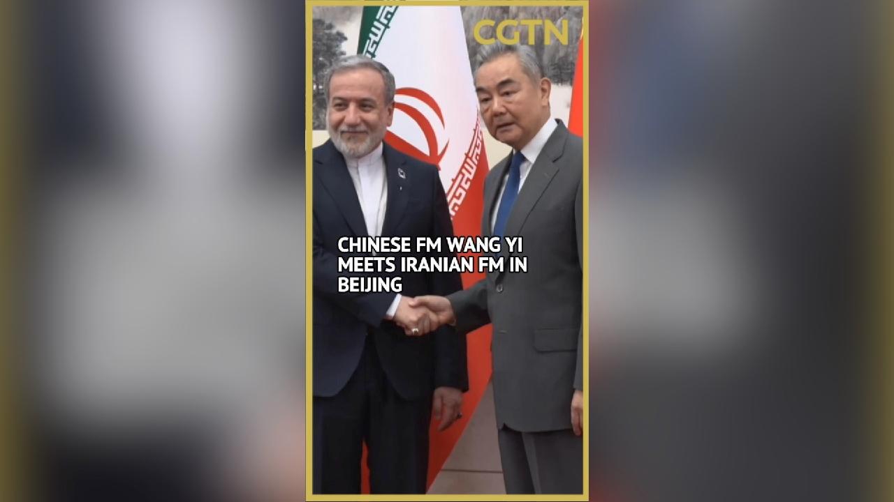 China's Foreign Minister Wang Yi holds talks with his Iranian counterpart