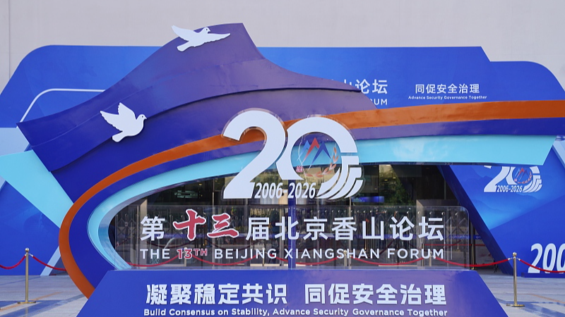 Chinese defense minister urges consensus, action for global security