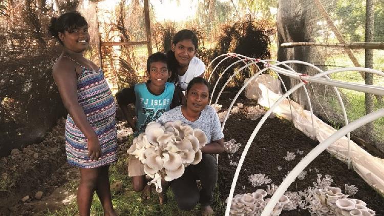 Sci-tech cooperation helps the Global South build its own capacity
