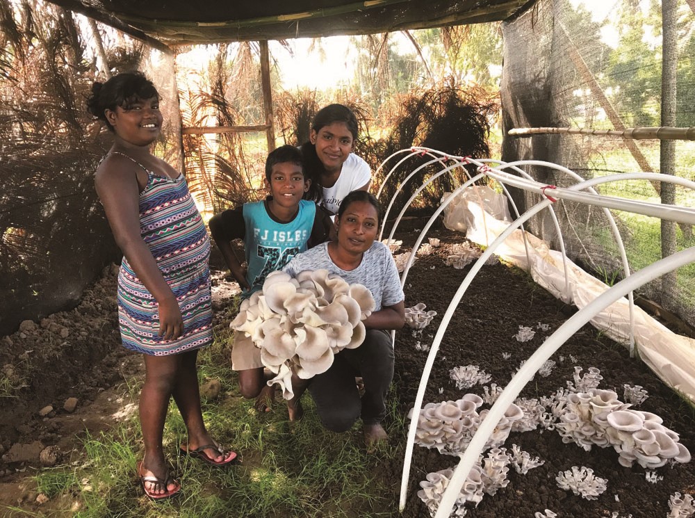 Fijian mushroom farmers pose with freshly harvested mushrooms. /MOFCOM