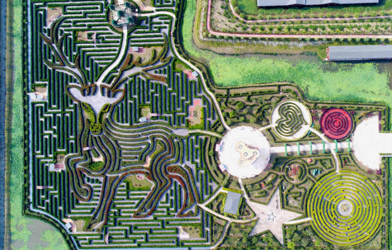 The Yancheng Dafeng Dream Maze holds the Guinness World Record for the world's largest permanent hedge maze. /Guinness World Records