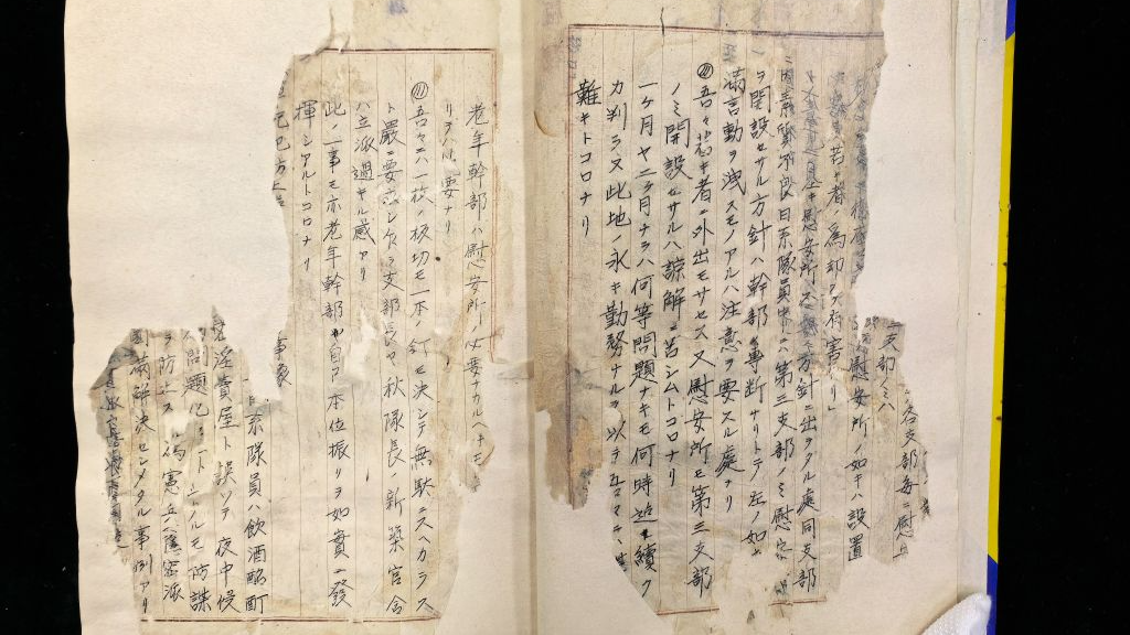 60 new archives on Japanese military's 'comfort woman' crime released