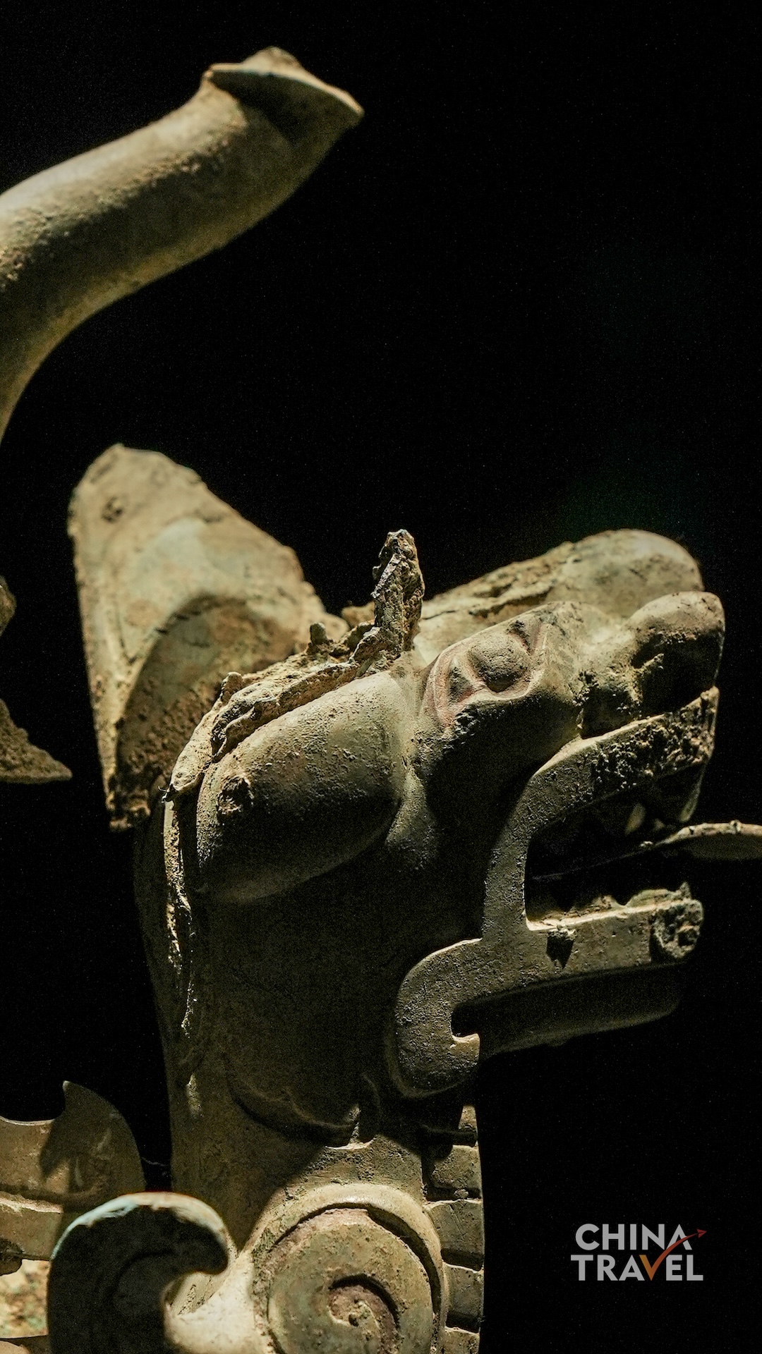 Close views of long-snouted and horned heads highlight open jaws, rounded eyes and tightly coiled ornamental motifs. /CGTN