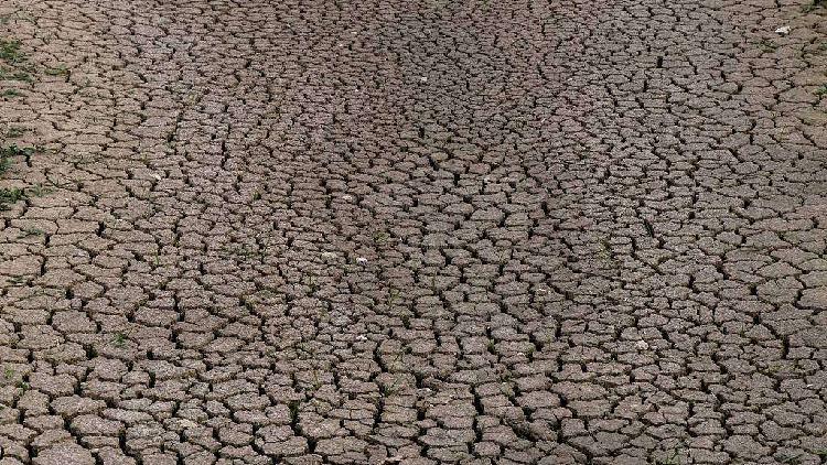 フランス、1900年以降で最も暑い夏に約8000人が超過死亡