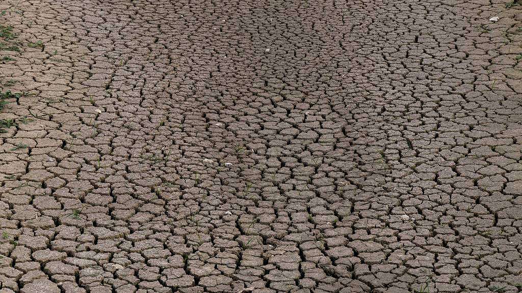 A patch of land dries out amid a heatwave, Bussy-Saint-Georges, France, September 6, 2026. /VCG