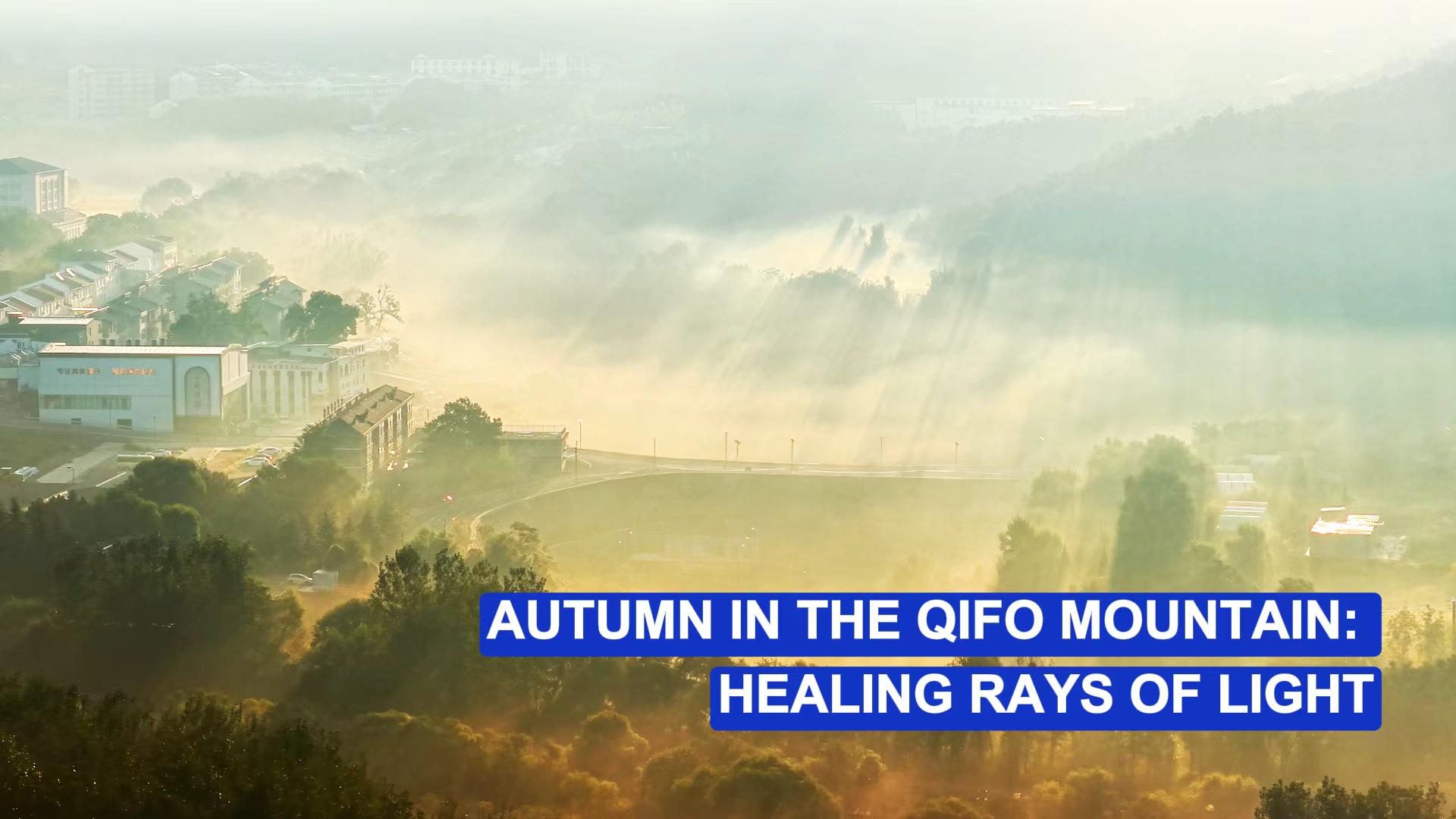 Autumn in the Qifo Mountain: Healing rays of light