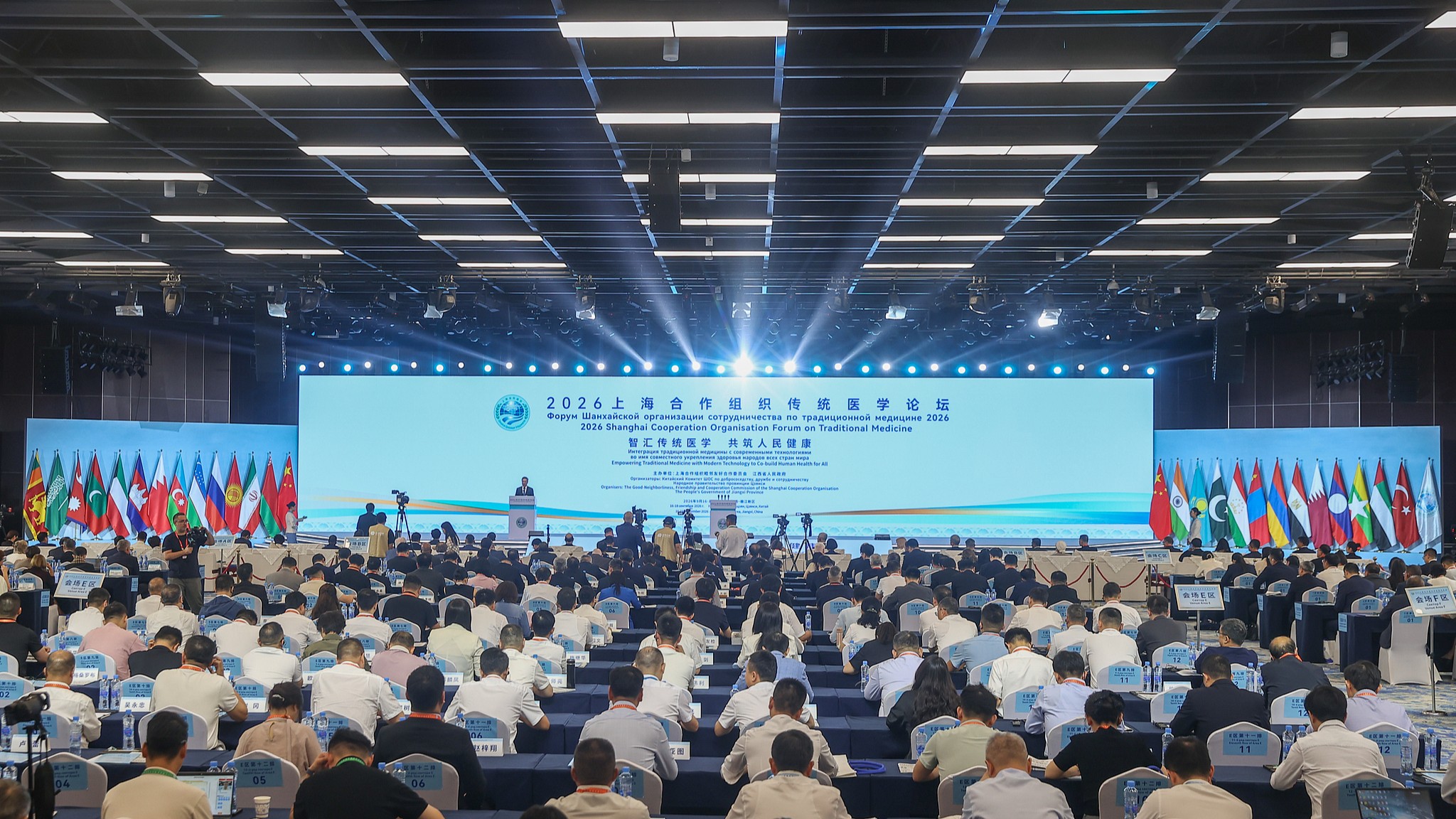 Expert: SCO states can cooperate to boost traditional medicine growth