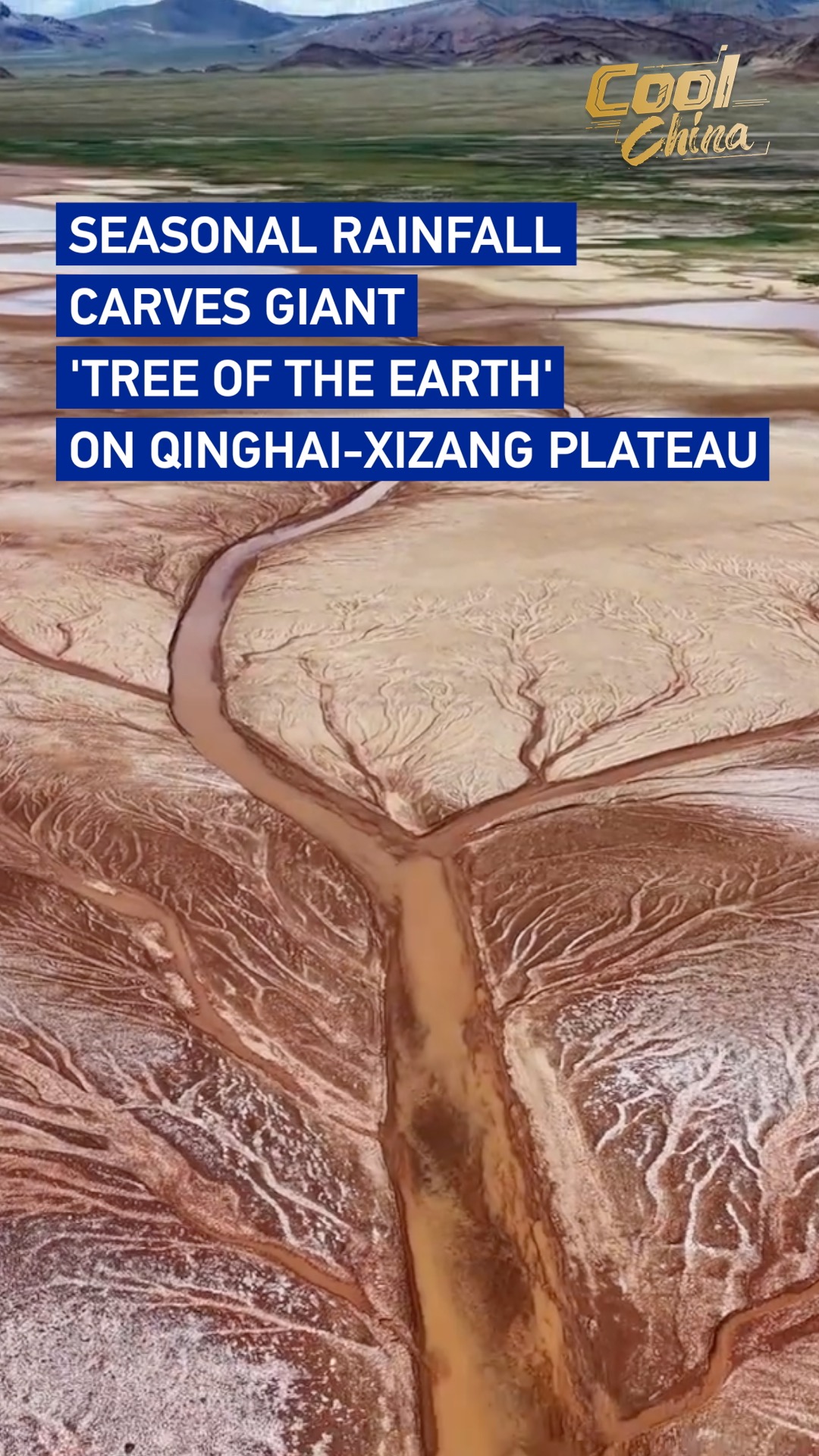 Rainfall carves giant 'tree of the earth' on Qinghai-Xizang Plateau