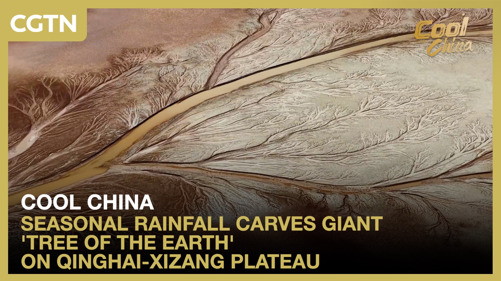 Rainfall carves giant 'tree of the earth' on Qinghai-Xizang Plateau