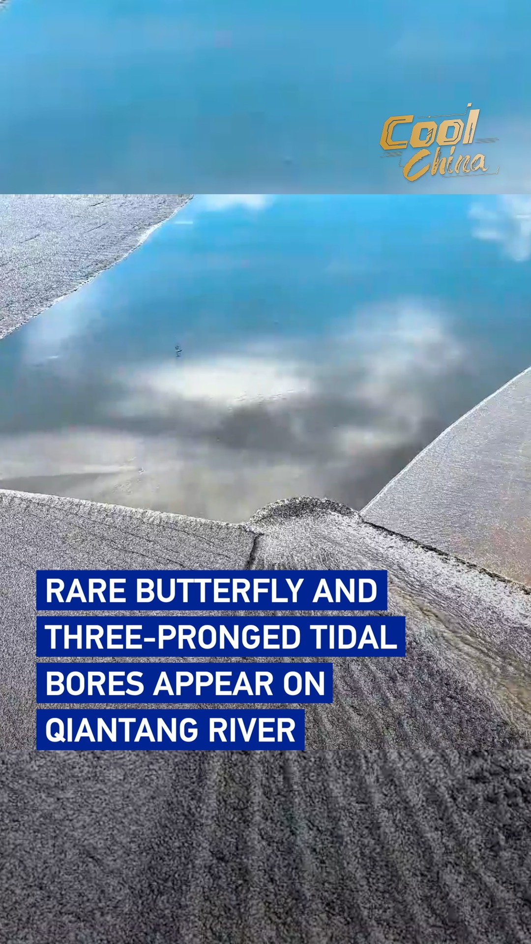 Rare 'butterfly' and three-pronged tidal bores seen on Qiantang River