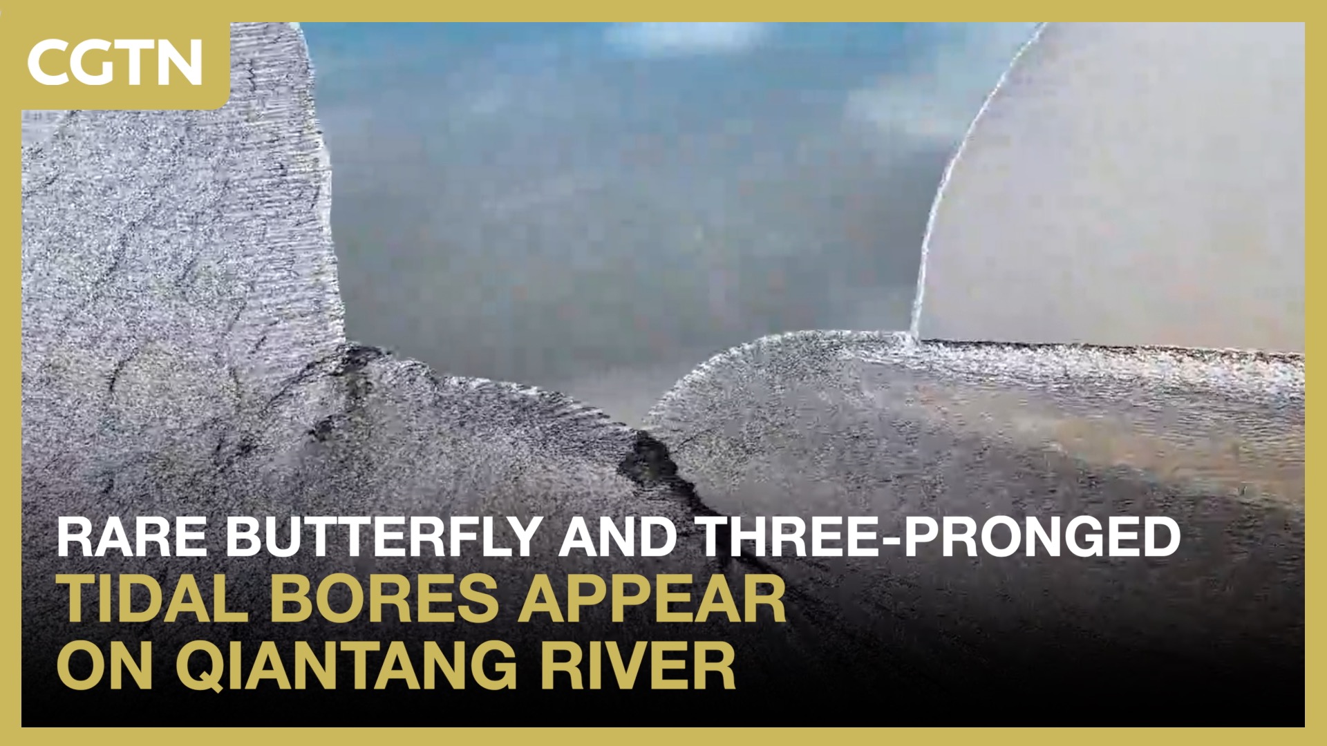 Rare 'butterfly' and three-pronged tidal bores seen on Qiantang River