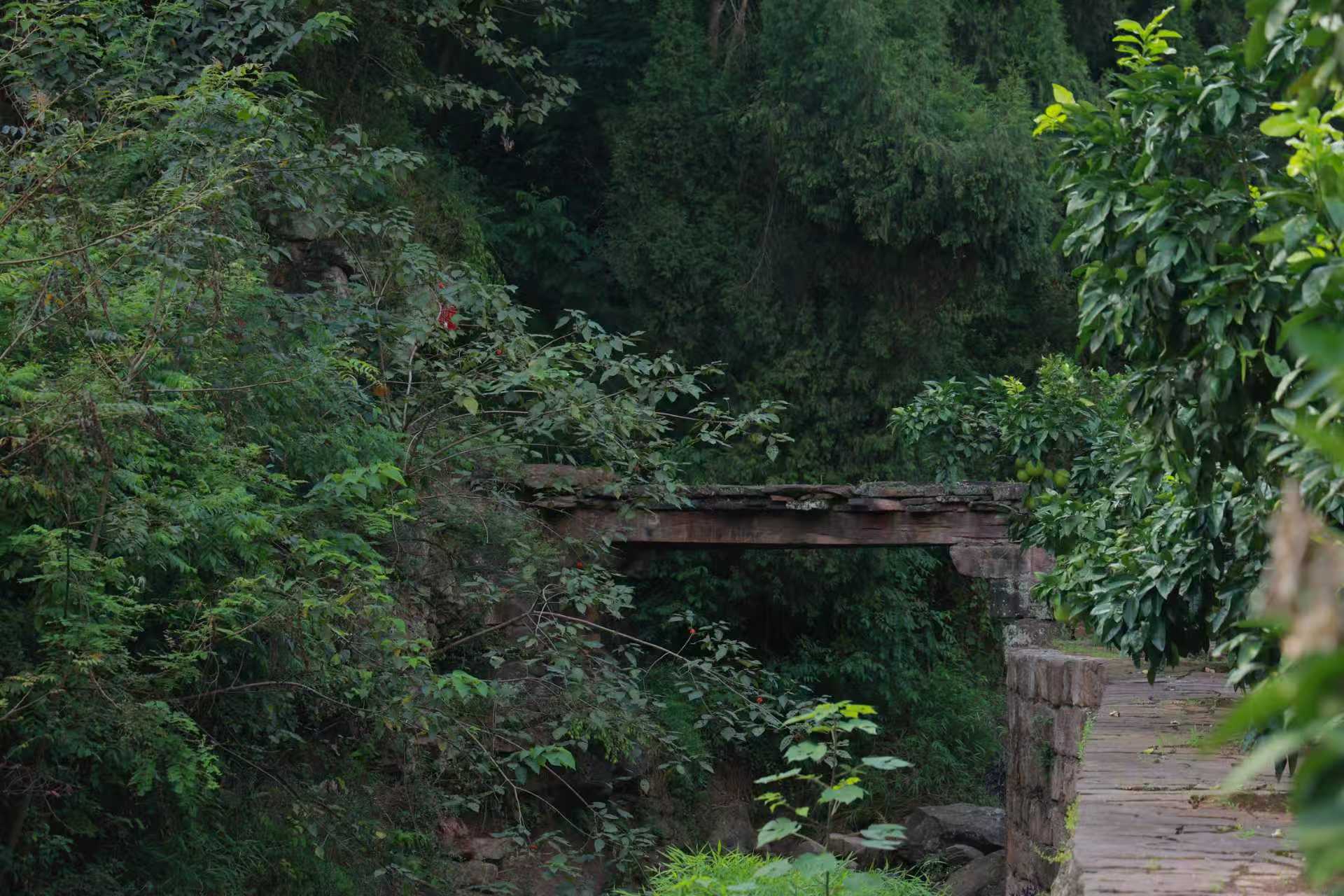 Yansanggou Xing Bridge: A historic landmark of the Long March