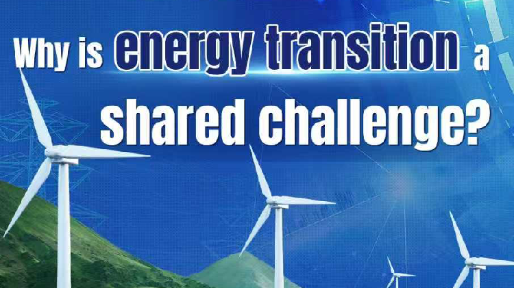 BizDataDive: Why is energy transition a shared China-US challenge?