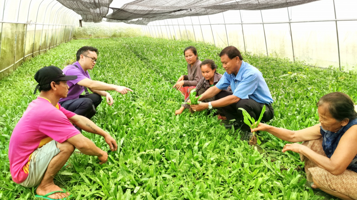 Five years on, China's GDI turns UN's development goals into action