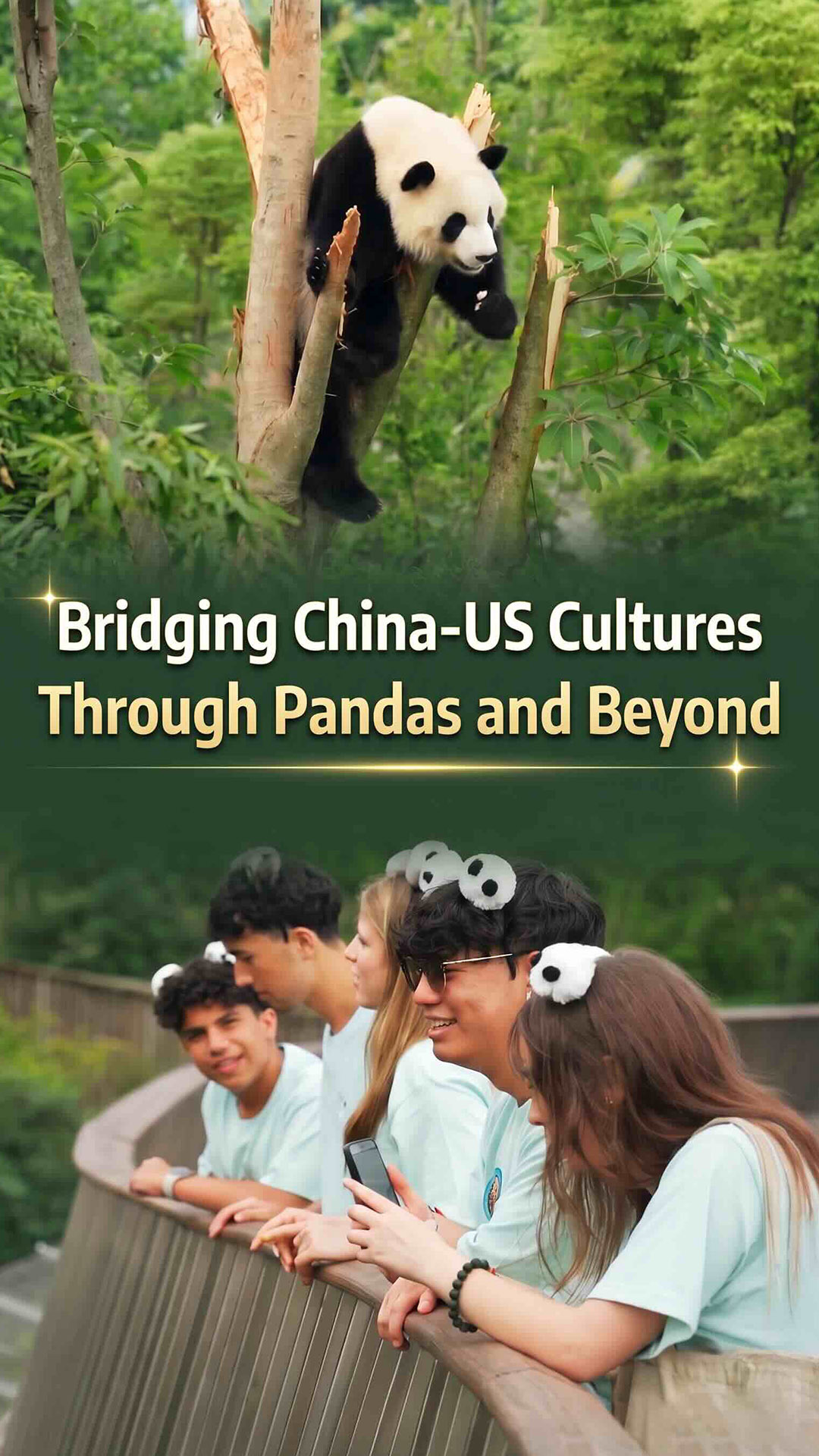 Bridging China-US cultures through pandas and beyond
