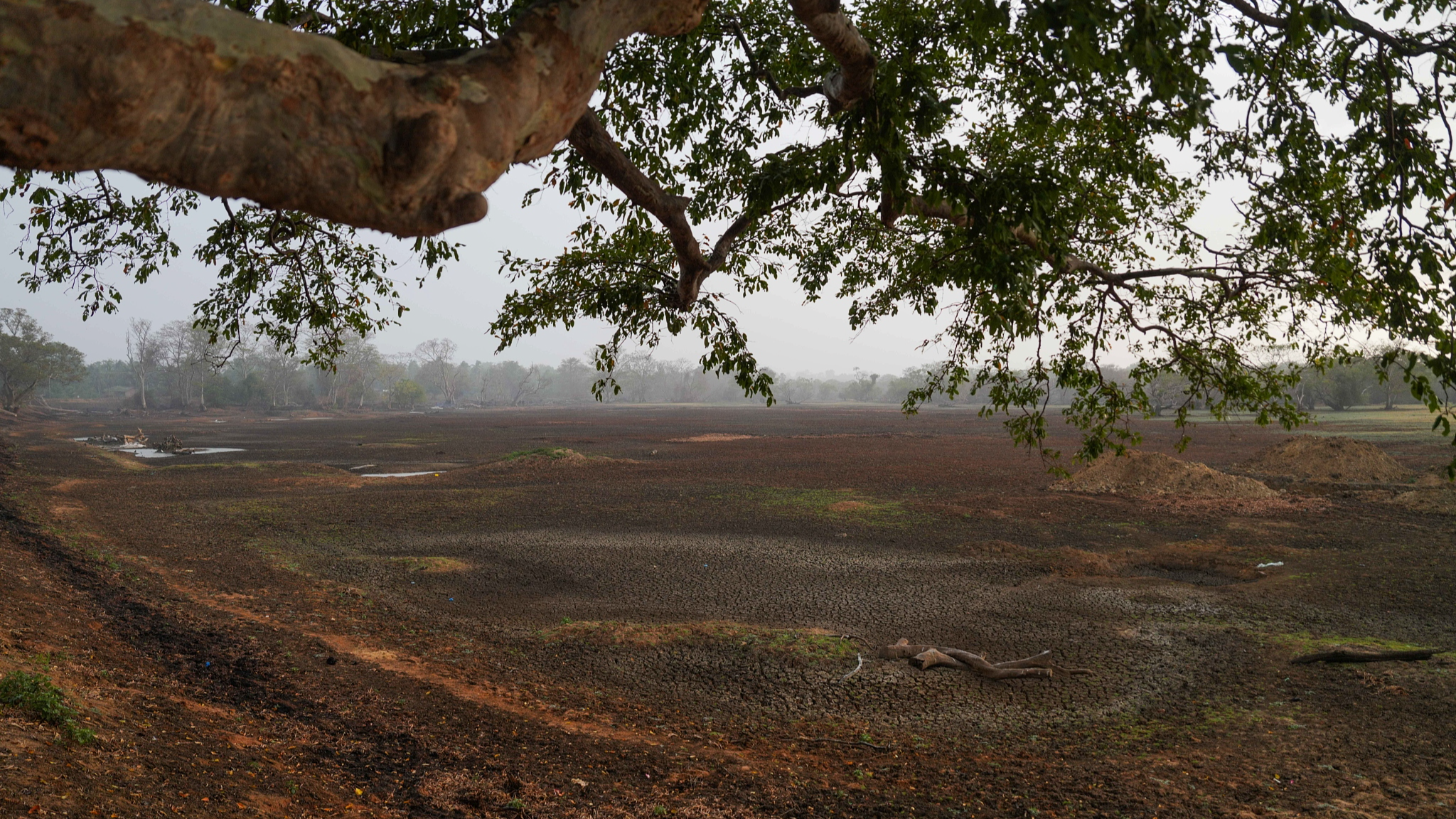A dried-up lake in Polonnaruwa, Sri Lanka, September 4, 2026. /VCG