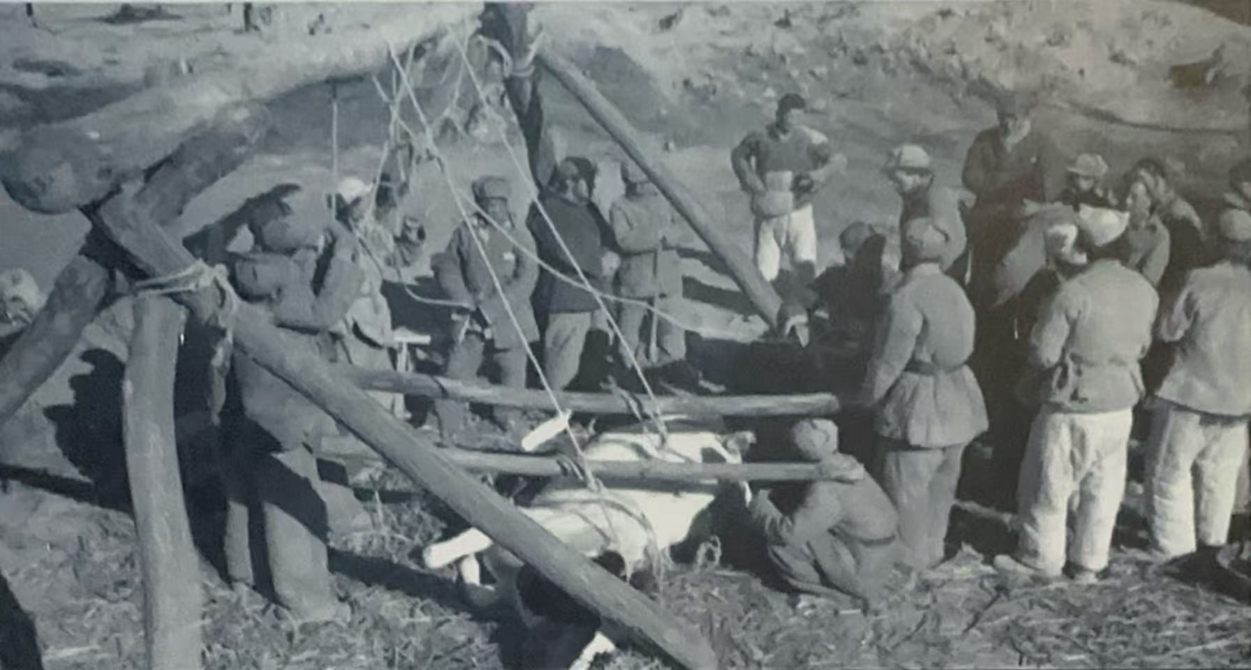 A photo of Erwin Engst overseeing the treatment of sick cattle.