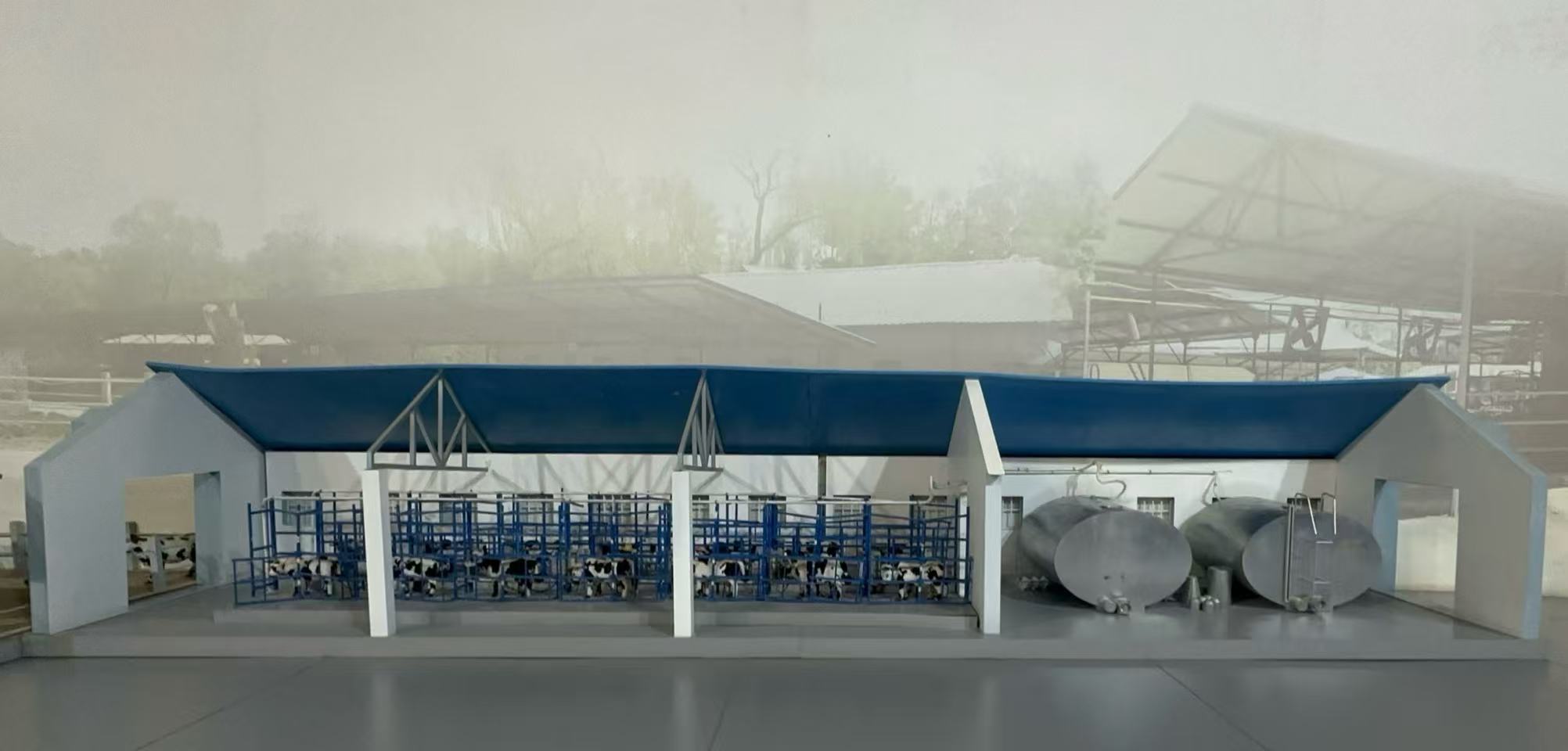 A model of the complete set of equipment designed by the couple – a herringbone milking parlor and a horizontal direct-cooling milk tank – on display at the Exhibition Hall.
