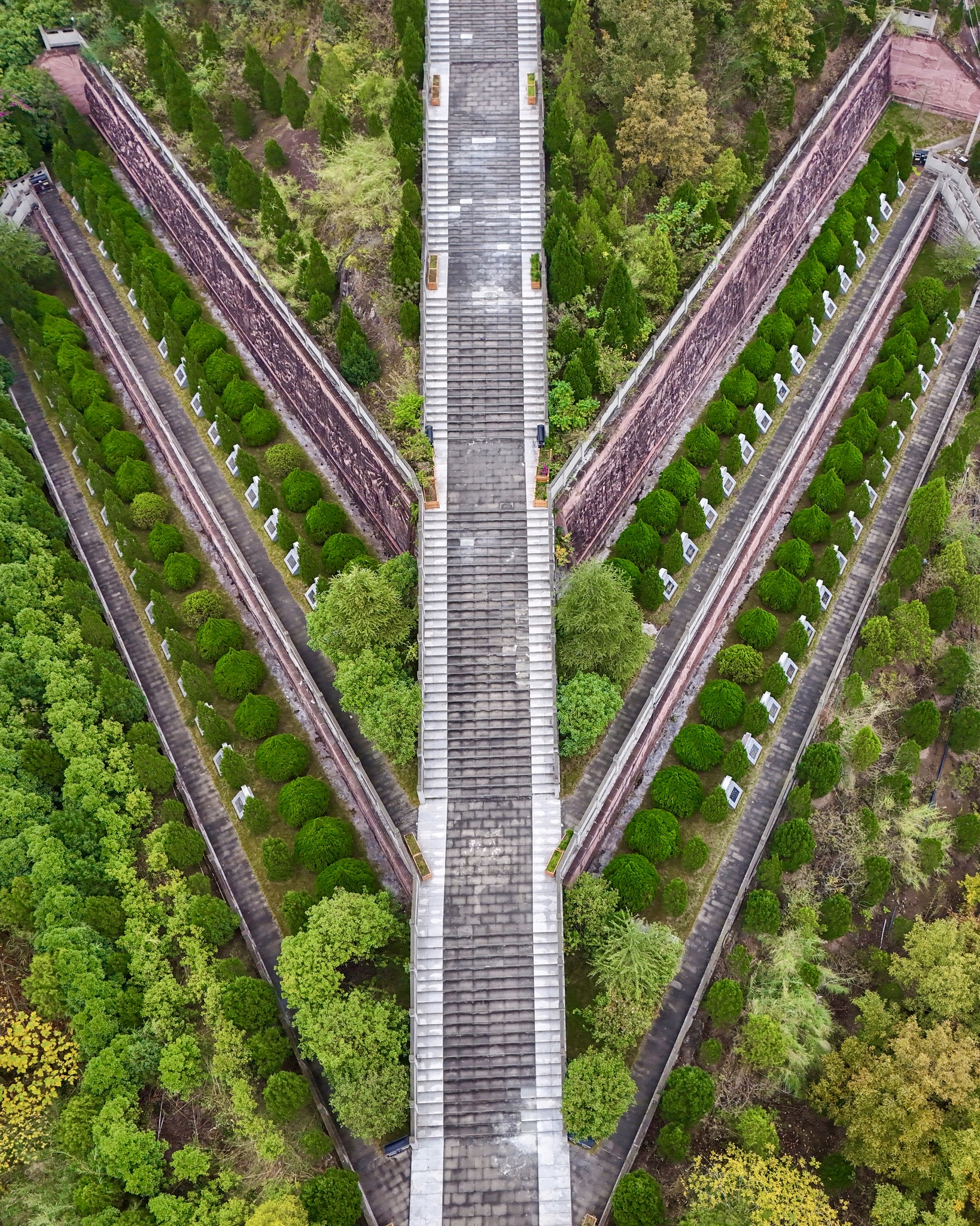 VCG